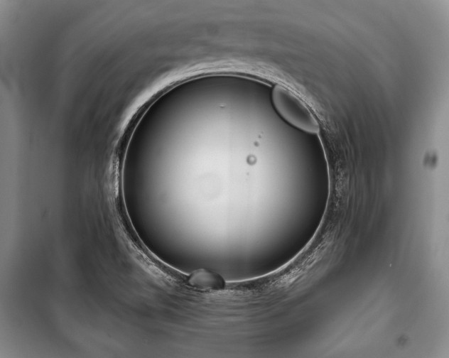 X0000101141510200806270907