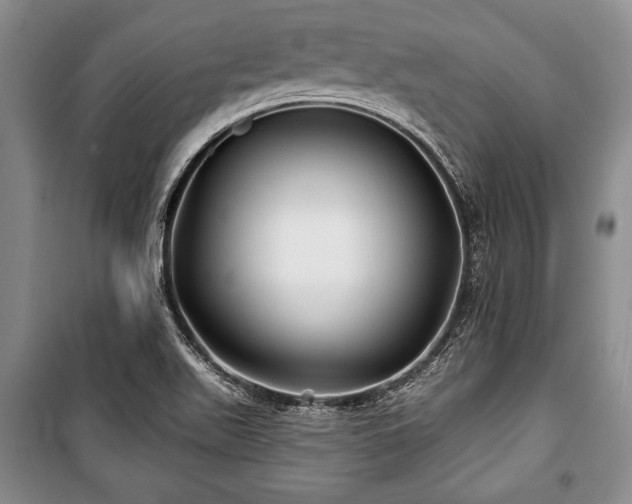 X0000101141511200806270908