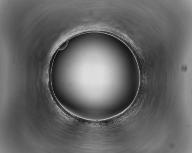 X0000101141512200806270908