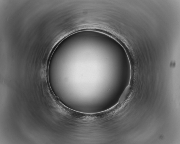 X0000101141513200806270908