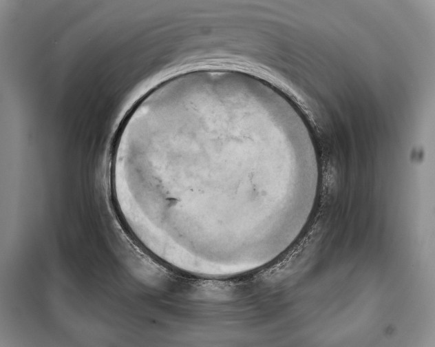 X0000101141514200806270908