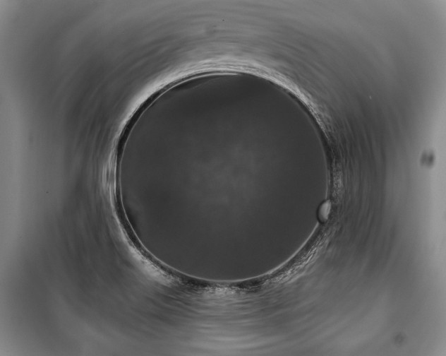 X0000101141515200806270908