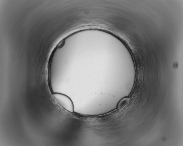 X0000101141516200806270908