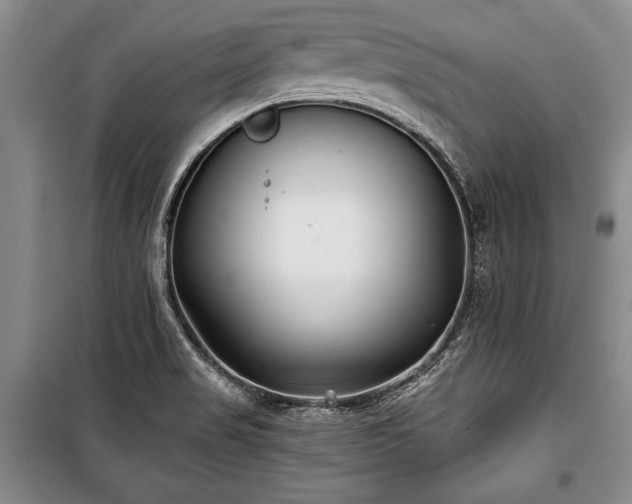 X0000101141517200806270908