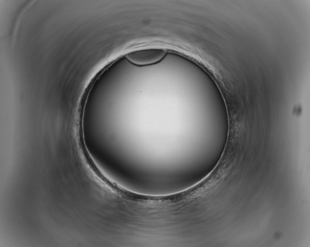 X0000101141518200806270908