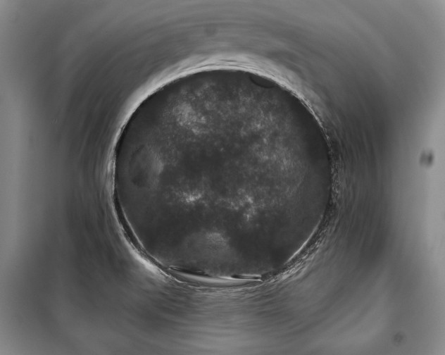 X0000101141519200806270908