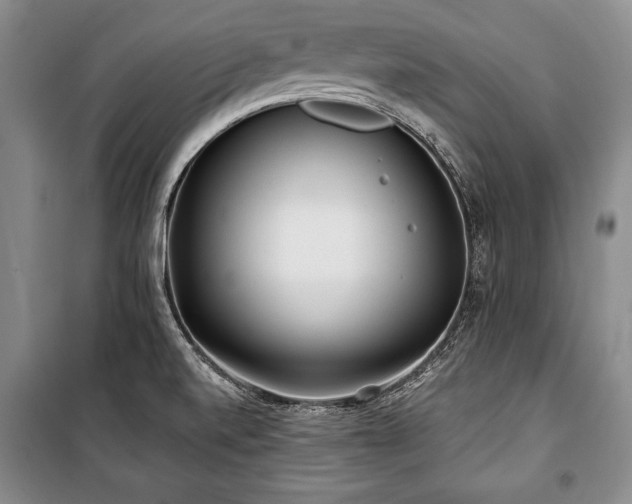 X0000101141520200806270908