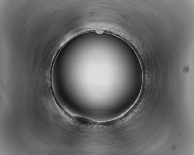 X0000101141521200806270908