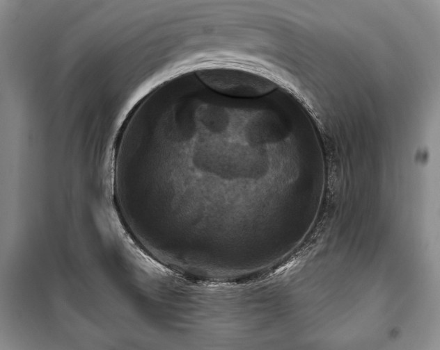 X0000101141522200806270908