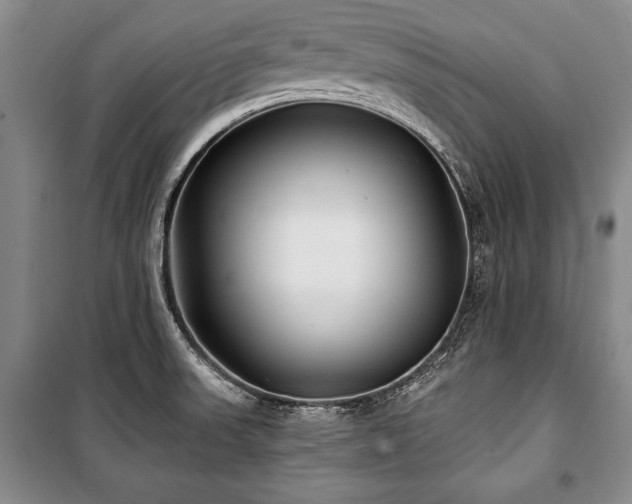 X0000101141523200806270908