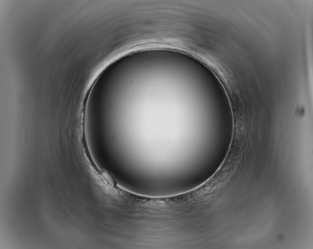 X0000101141524200806270908