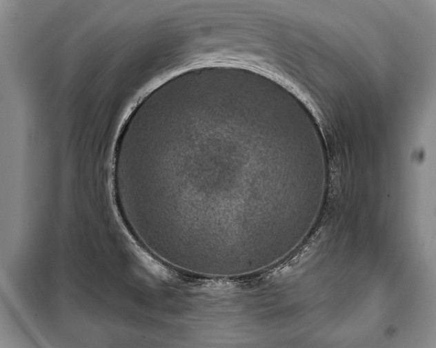 X0000101141525200806270908