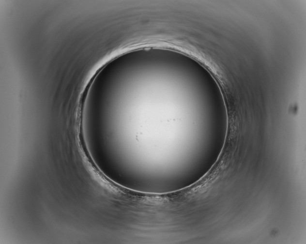 X0000101141526200806270908