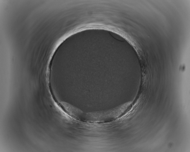 X0000101141527200806270908