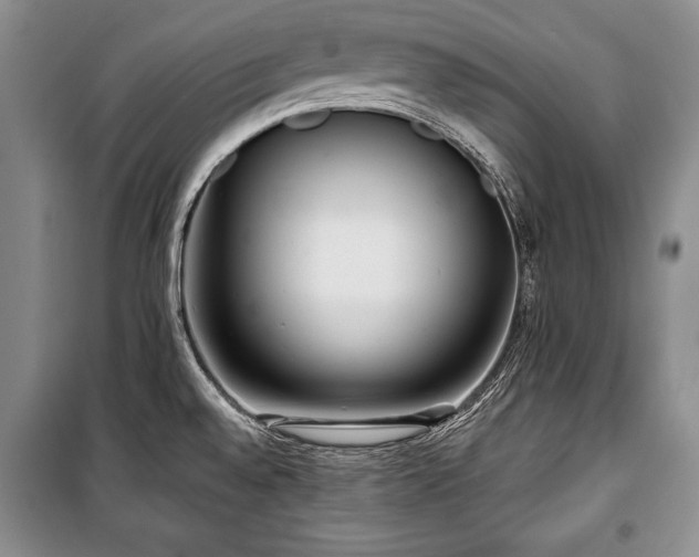 X0000101141528200806270908