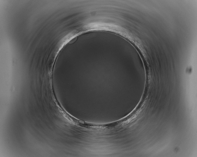 X0000101141529200806270908