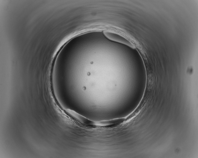 X0000101141530200806270908