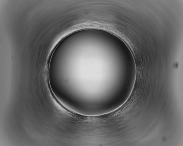 X0000101141531200806270908