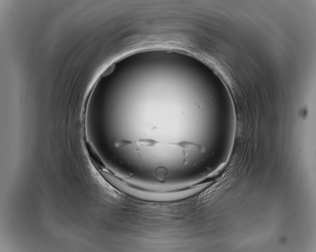 X0000101141532200806270908