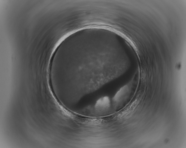 X0000101141533200806270908