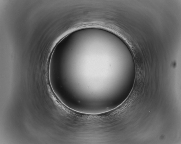 X0000101141534200806270908