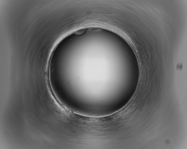 X0000101141536200806270908