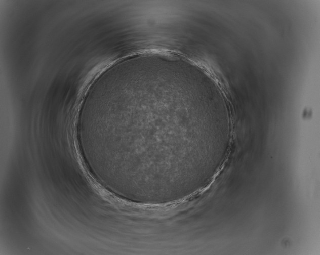 X0000101140001200807071137