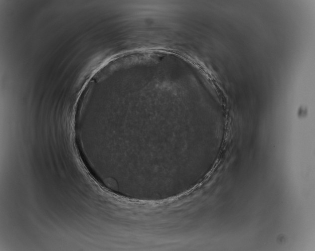 X0000101140002200807071137