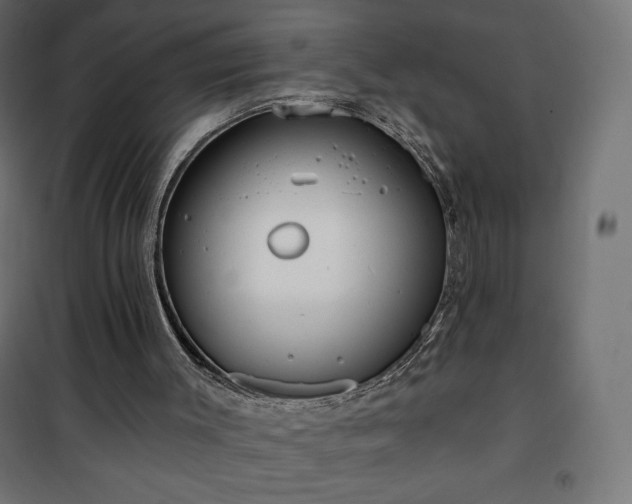 X0000101140003200807071137