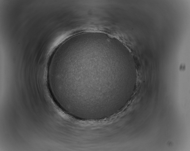 X0000101140005200807071137