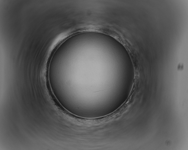 X0000101140006200807071137