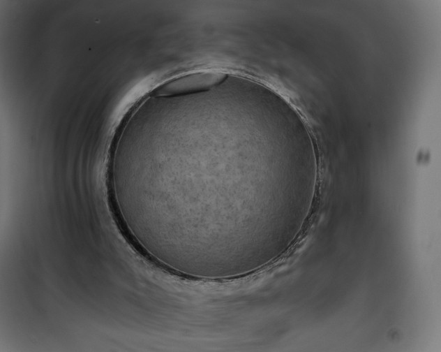 X0000101140007200807071137