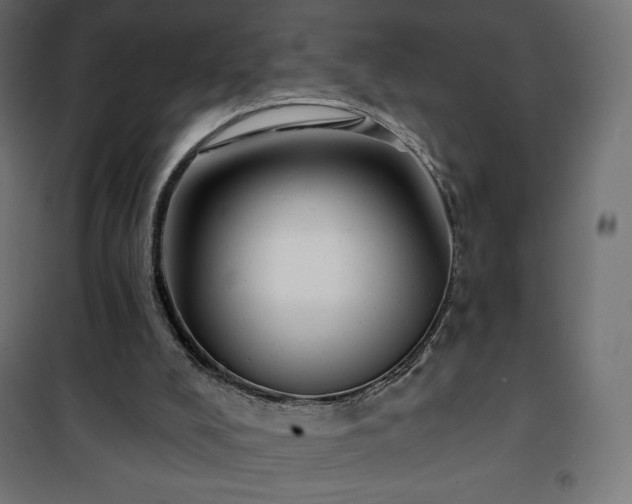 X0000101140008200807071136