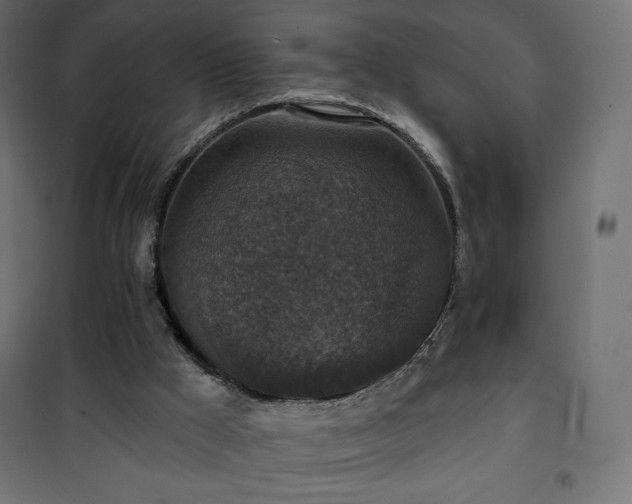 X0000101140009200807071136