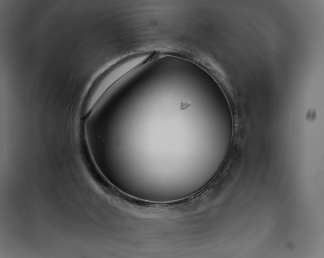 X0000101140012200807071136