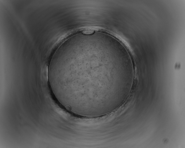 X0000101140013200807071136