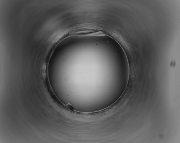 X0000101140014200807071136