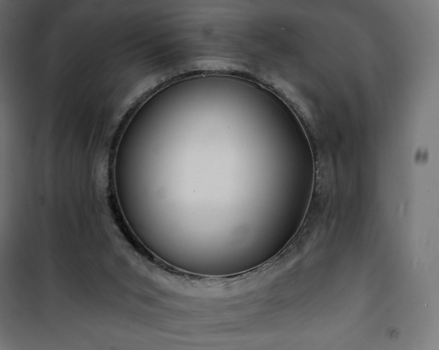 X0000101140015200807071136