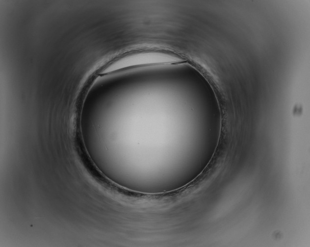 X0000101140016200807071136