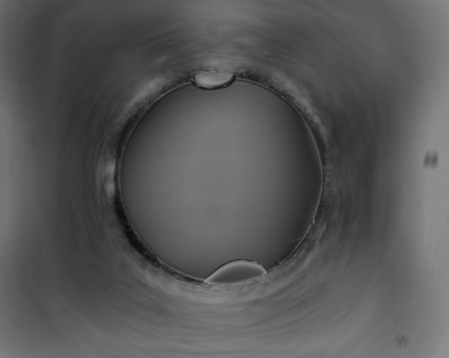 X0000101140019200807071136