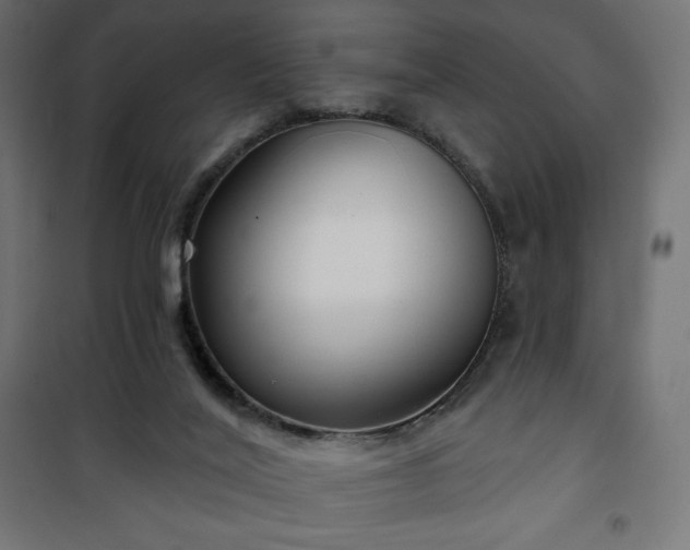 X0000101140020200807071136