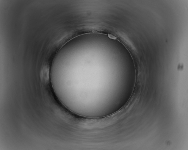 X0000101140021200807071136