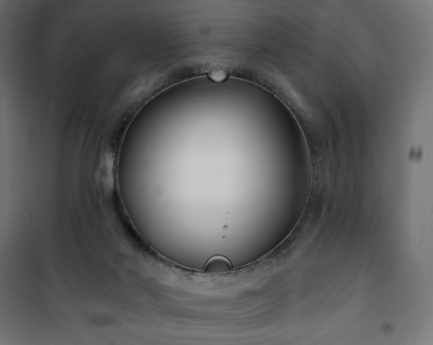 X0000101140022200807071136