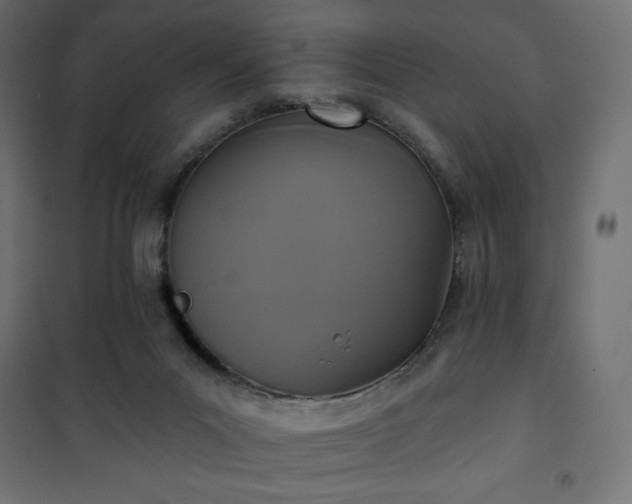 X0000101140023200807071136