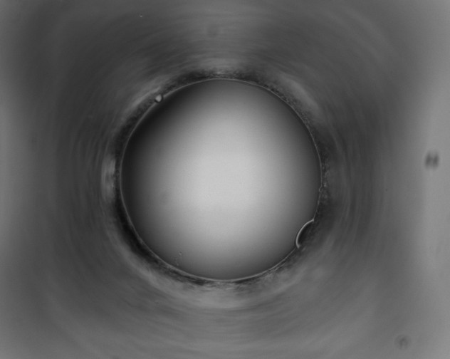 X0000101140024200807071136