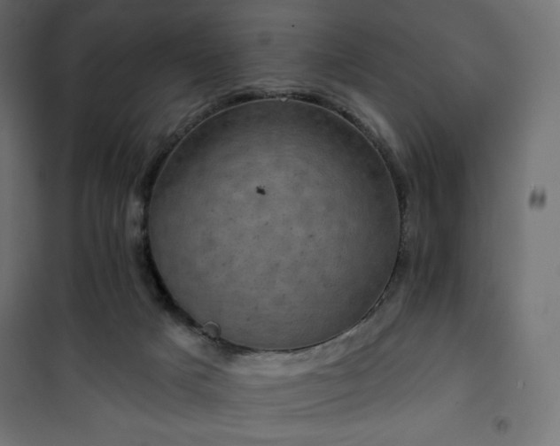 X0000101140025200807071136