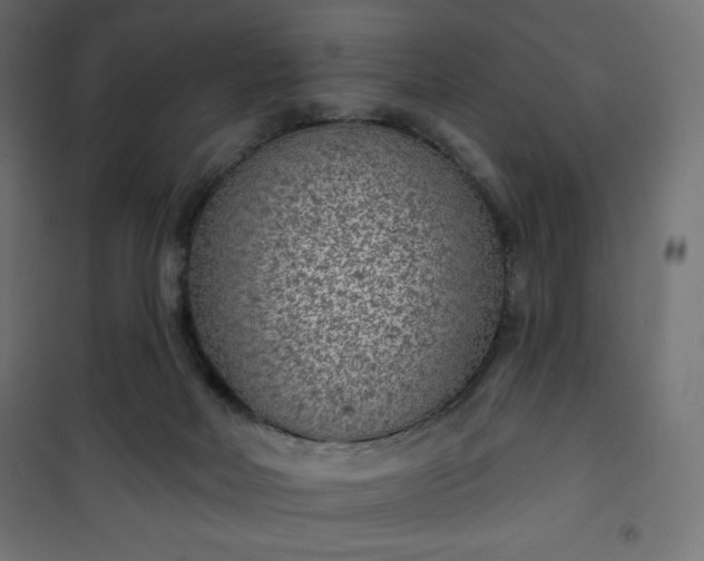 X0000101140026200807071136