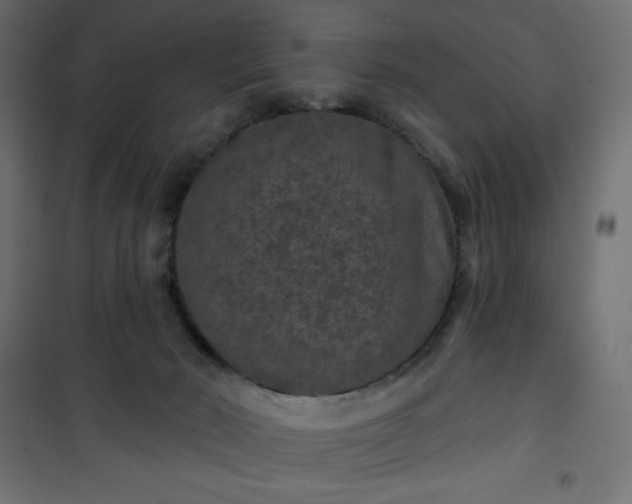 X0000101140030200807071136