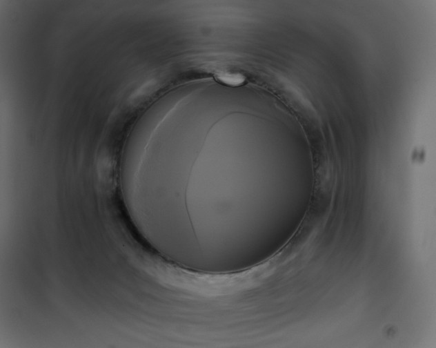 X0000101140031200807071136