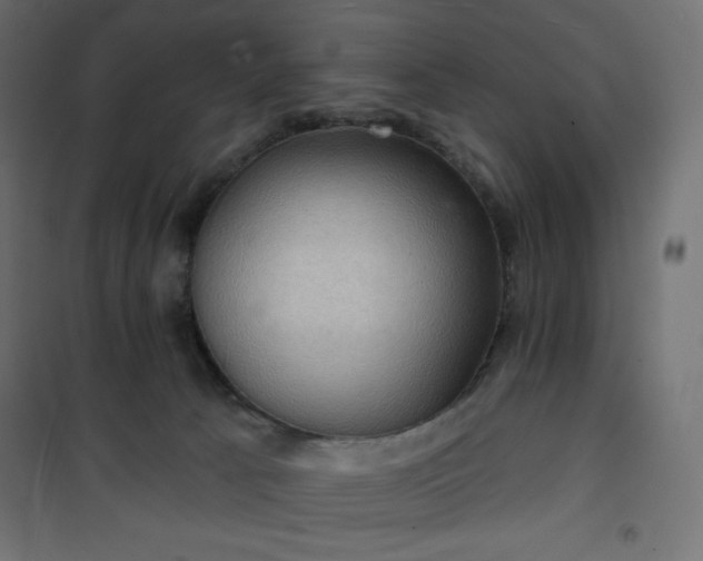 X0000101140033200807071136